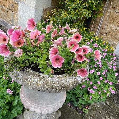 Ellesmere House Castle Cary Luaran gambar
