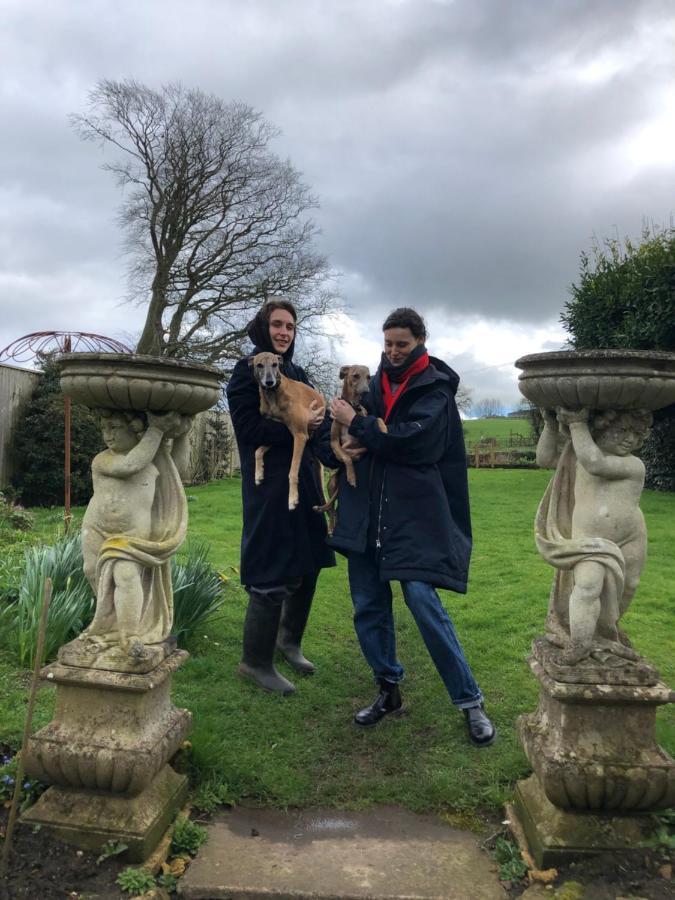 Ellesmere House Castle Cary Luaran gambar