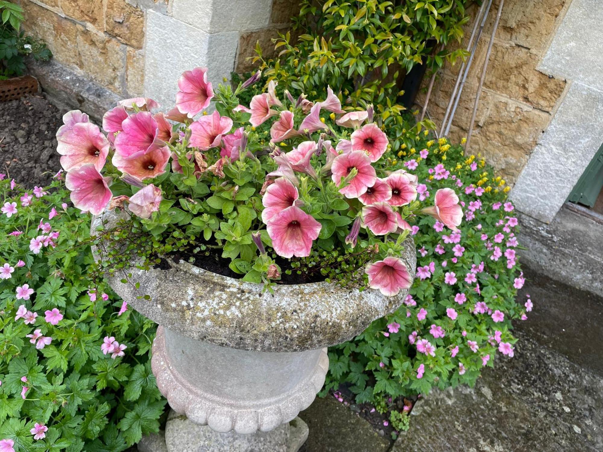 Ellesmere House Castle Cary Luaran gambar
